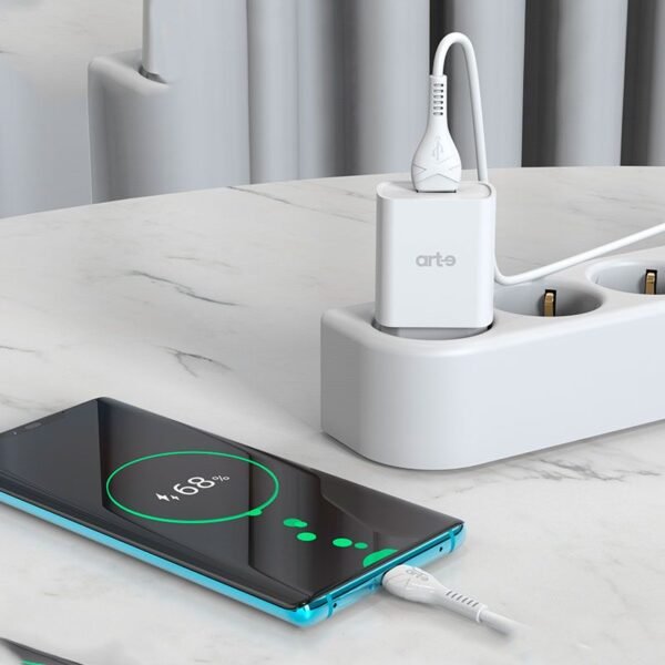 Caricabatteria da rete 2.1A usb con cavo TYPE-C - immagine 9